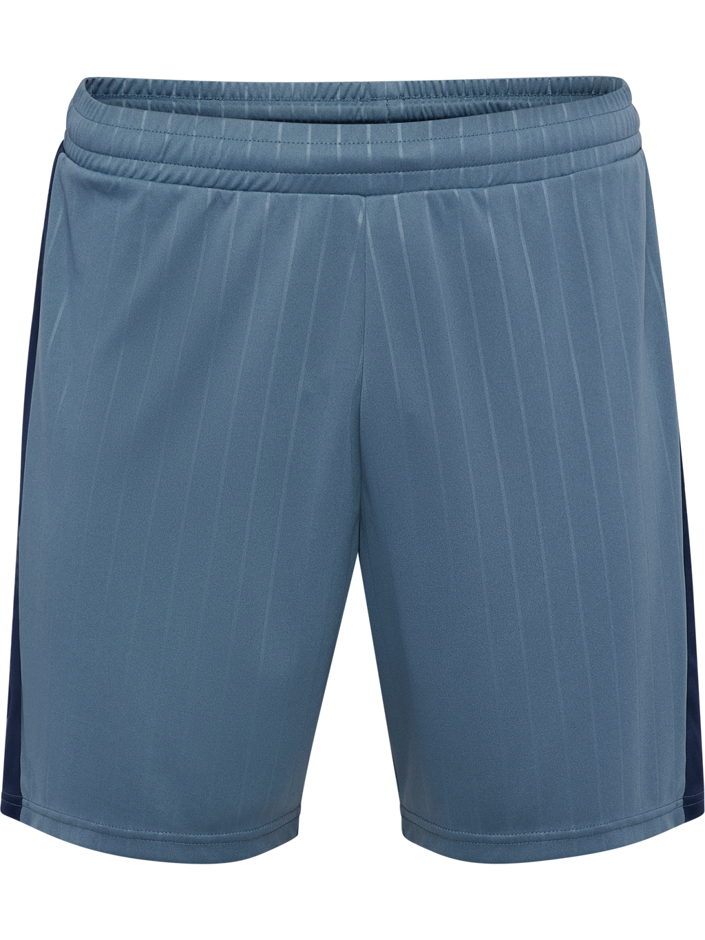 hmlPULSE STRIPE BLOCKED SHORTS