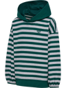 hmlJR CONELLY BOXY CONTRAST HOODIE