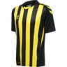 hmlCORE XK STRIPED JERSEY S/S