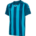 hmlCORE XK STRIPED JERSEY S/S KIDS