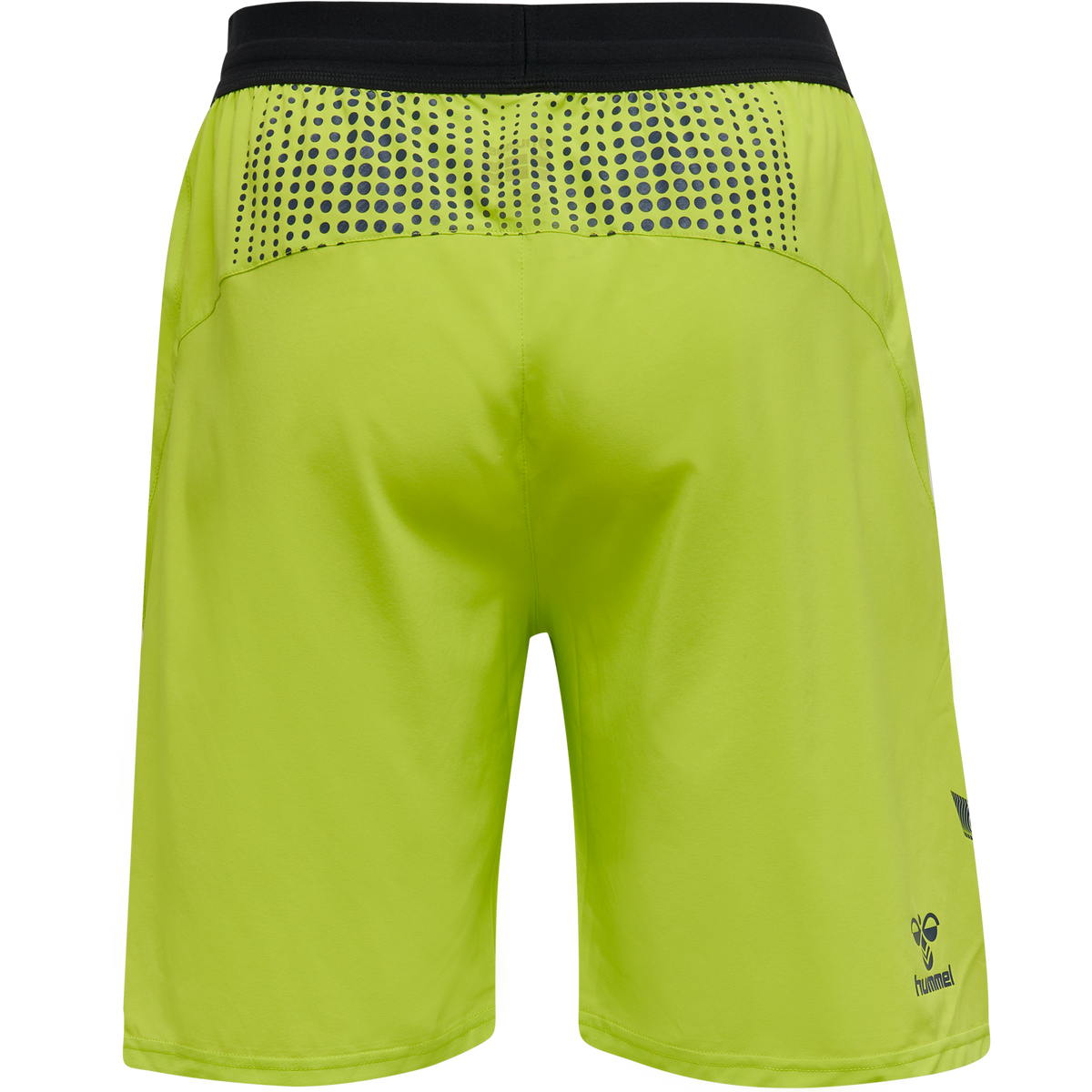 hmlLEAD PRO TRAINING SHORTS