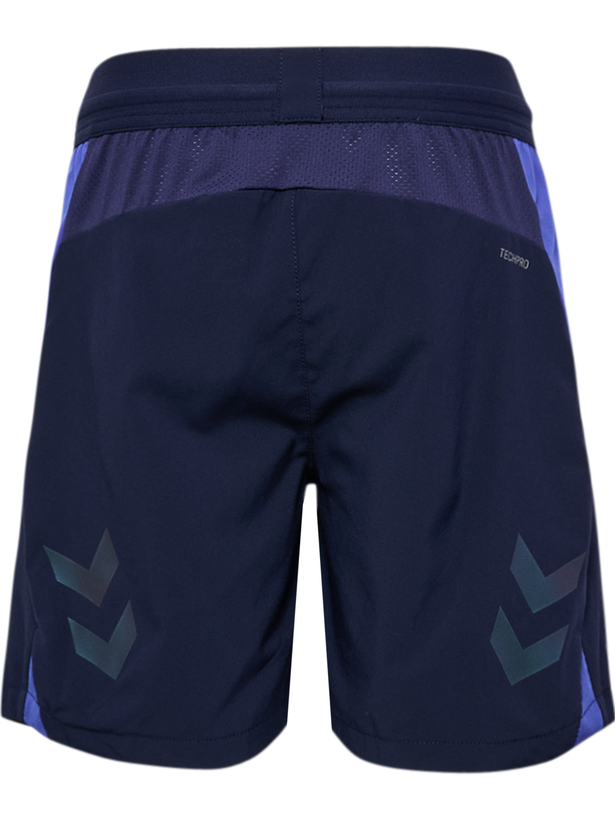 hmlBLAZE26 PRO TRAINING SHORTS KIDS
