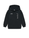 stsAIDEN HOODIE