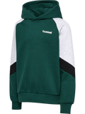 hmlJR LOOSE BLOCKED HOODIE