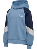 hmlJR LOOSE BLOCKED HOODIE