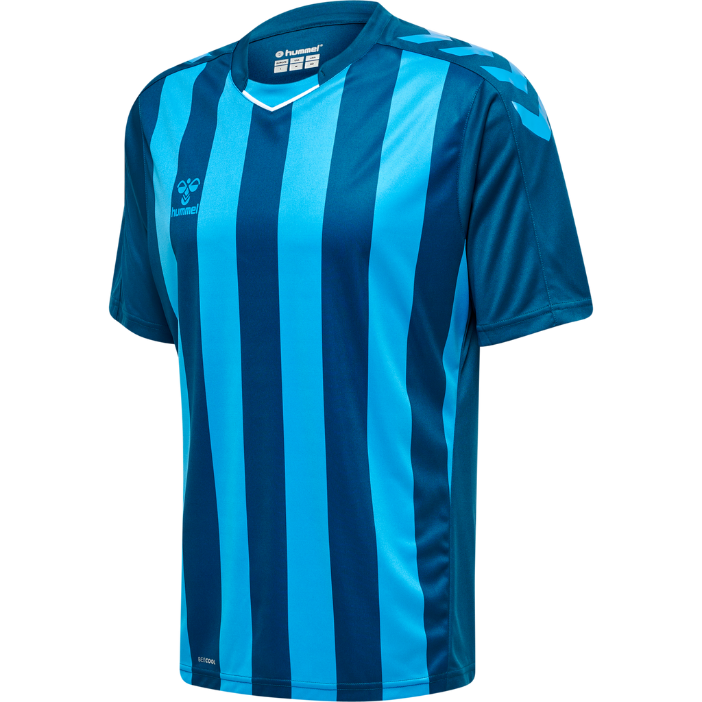 hmlCORE XK STRIPED JERSEY S/S